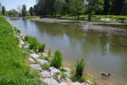 Ukázka opevnění břehů balvanitou rovnaninou (Zámecký rybník v Čakovicích)